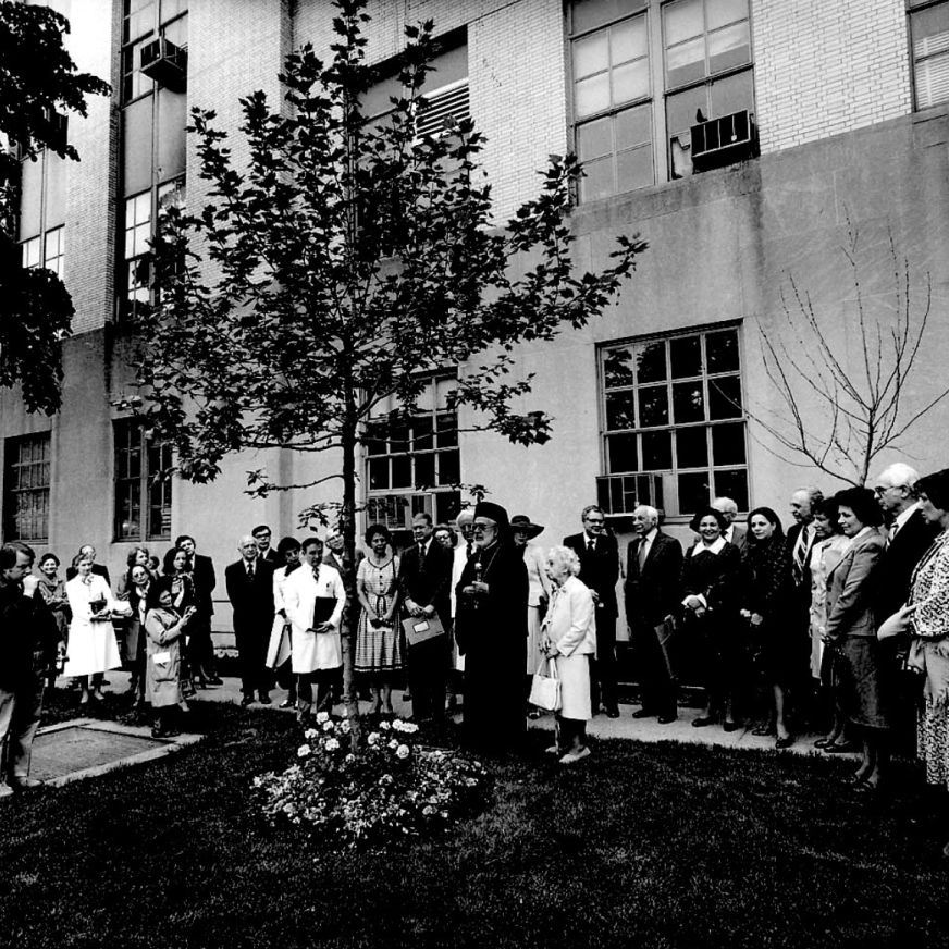 A tree planting ceremony with the Archbishop.*